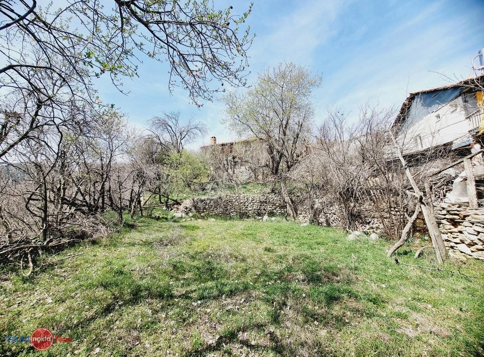 Çamlık Narlı Köy İçi, 2737m² Arsa + Kerpiç Ev, Yatırıma Uygun