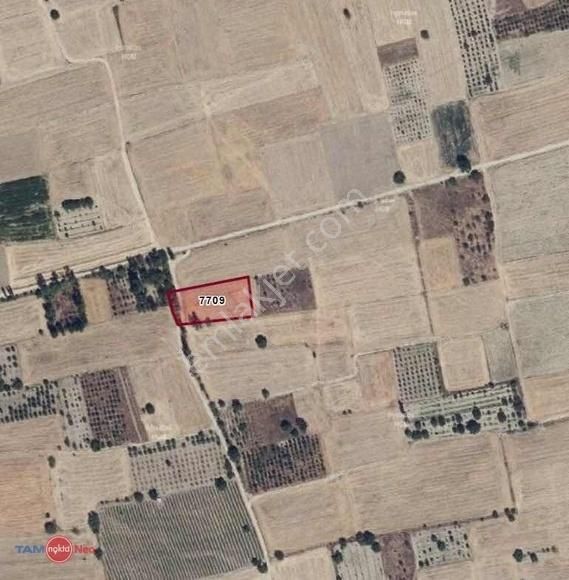 Süleyman Zıngal'dan Tek Tapu Tarla