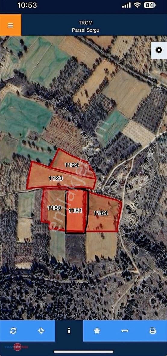 Süleyman Zıngal'dan Yola Cephe Tarla - Araç Takas Açık