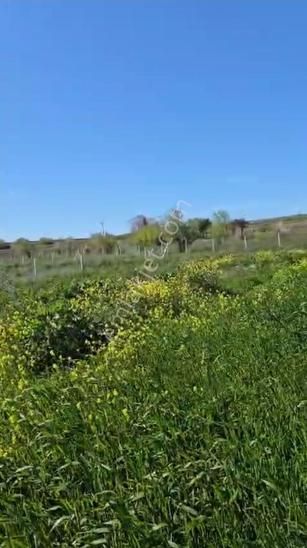 Silivri Fenerköy'de Kelepir Yer - Görsel 2
