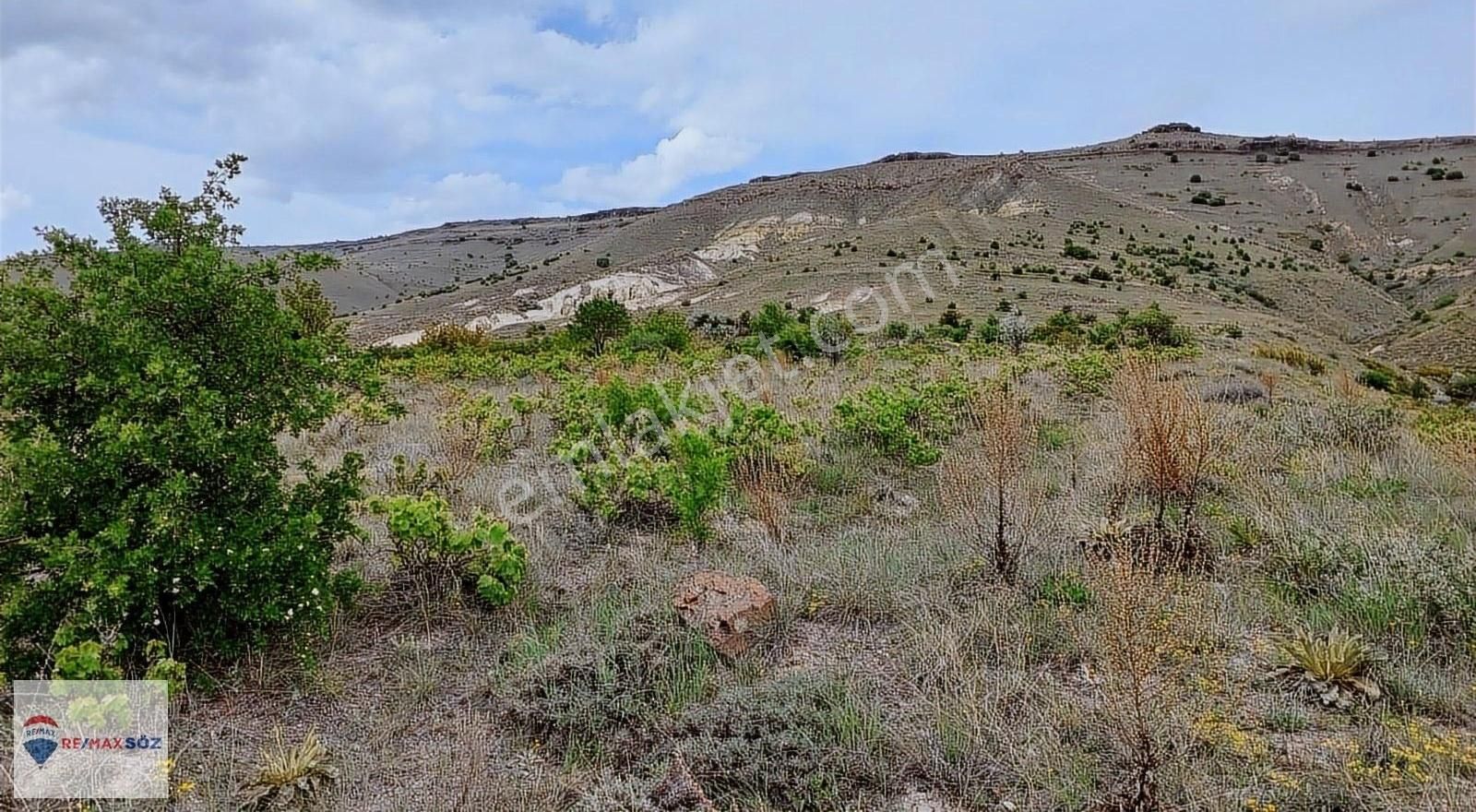 Remax Söz'den Karacaörende Acil Satılık 1773m2 Bağ