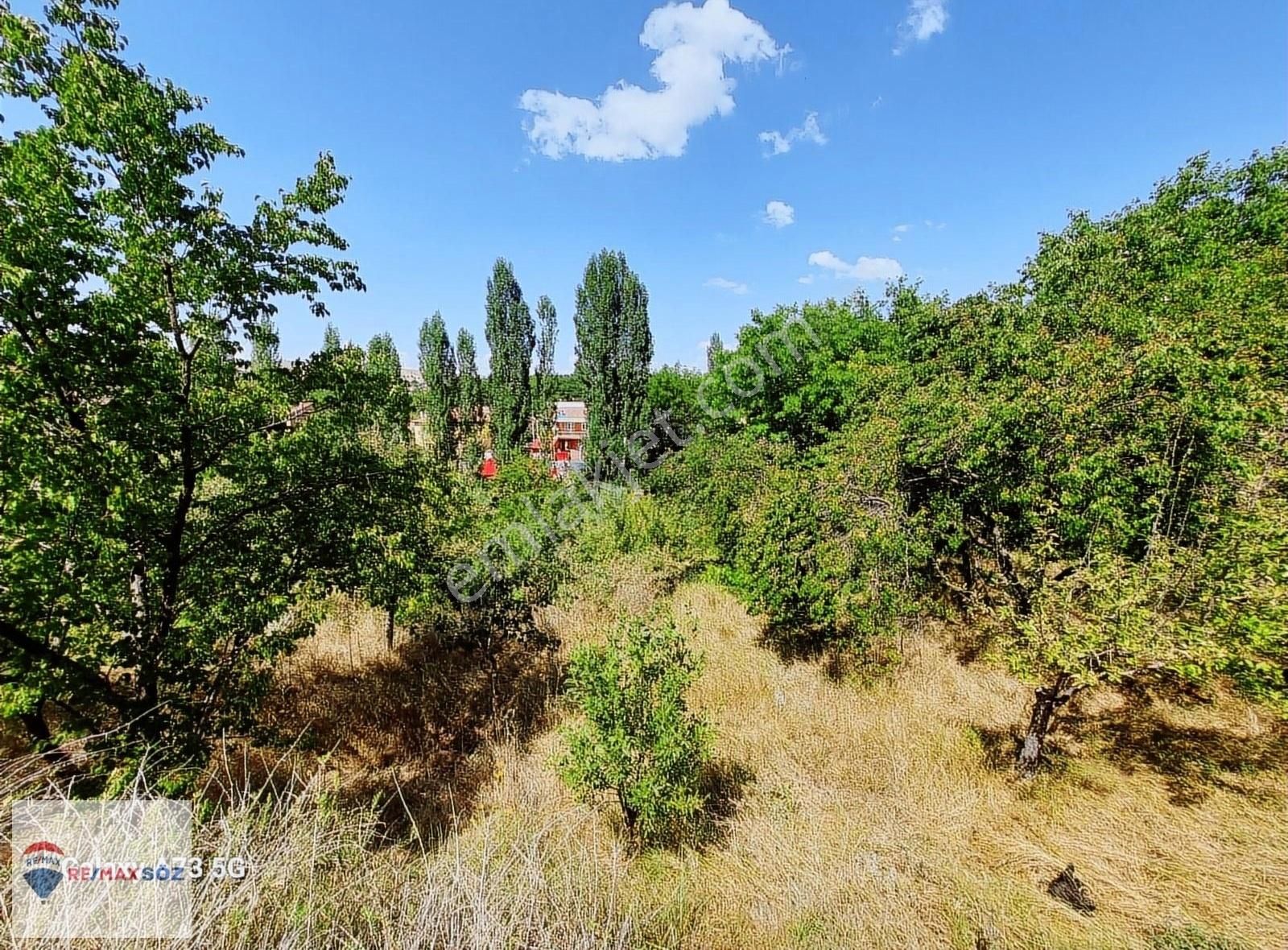 Bünyan Merkezde Irmak Kenarında Doğa Harikası Bahçe - Görsel 6