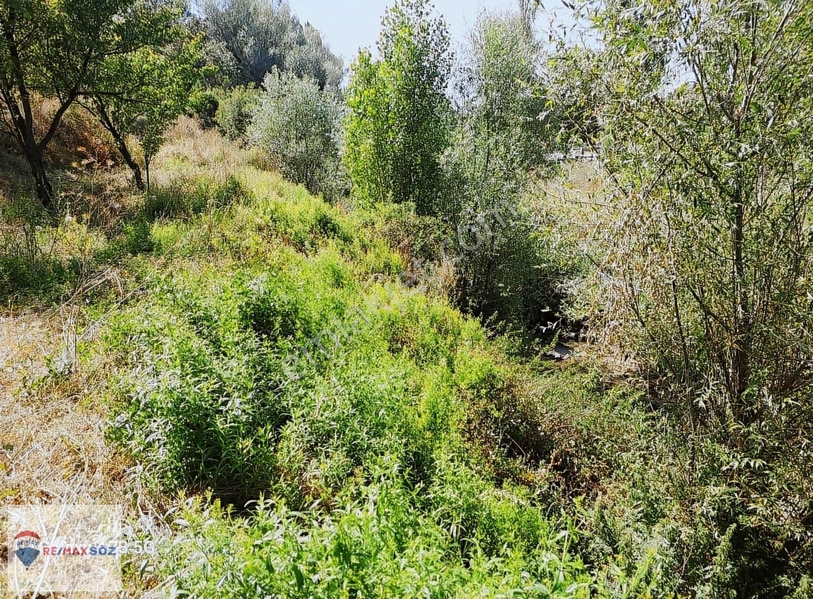 Bünyan Merkezde Irmak Kenarında Doğa Harikası Bahçe - Görsel 4