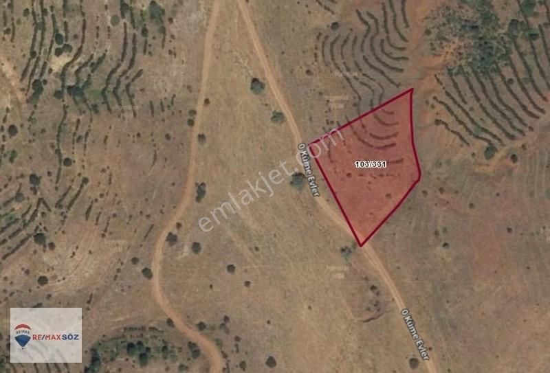 Sivas Hafik Karlı Köyünde 3137m2 Tek Tapu Tarla