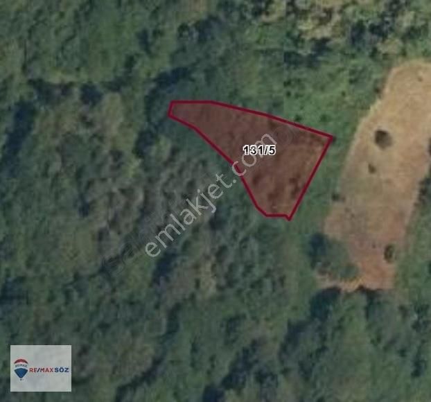 Kastamonu Çatalzeytin Çağlar Köyü 118m2 Tarla