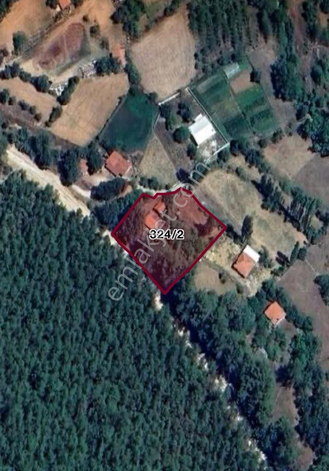 Fethiye Nif Mahallesi’nde Ormanla Komşu Satılık Tarla – 2.128 M²