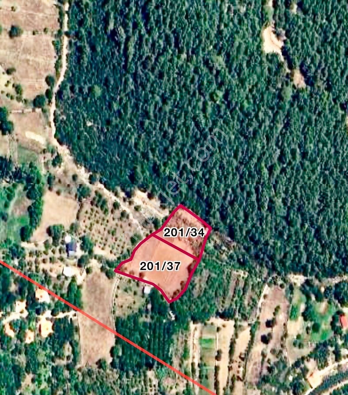Fethiye Nif Mahallesi’nde Konut Yapımına Uygun, Yola Cepheli Satılık 5.179 M² Arsa Ve Tarla