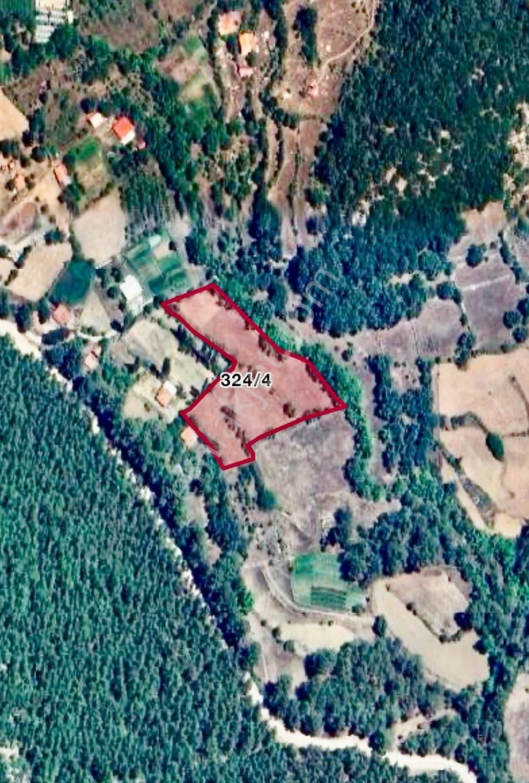 Fethiye Nif Mahallesi’nde Köye Yerleşik Alanda Satılık 6.535 M² Arazi – Konut Yapımına Uygun