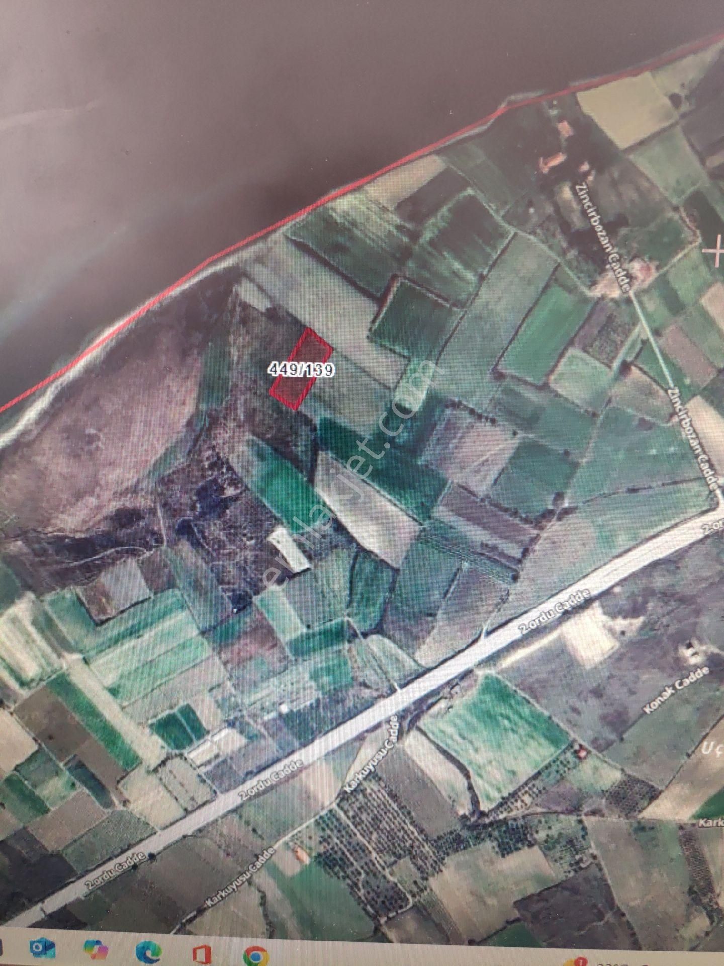 Çanakkale Lapseki Çardak Köyü Yatırım Arazisi 4226 M2 Denize 150 Metre