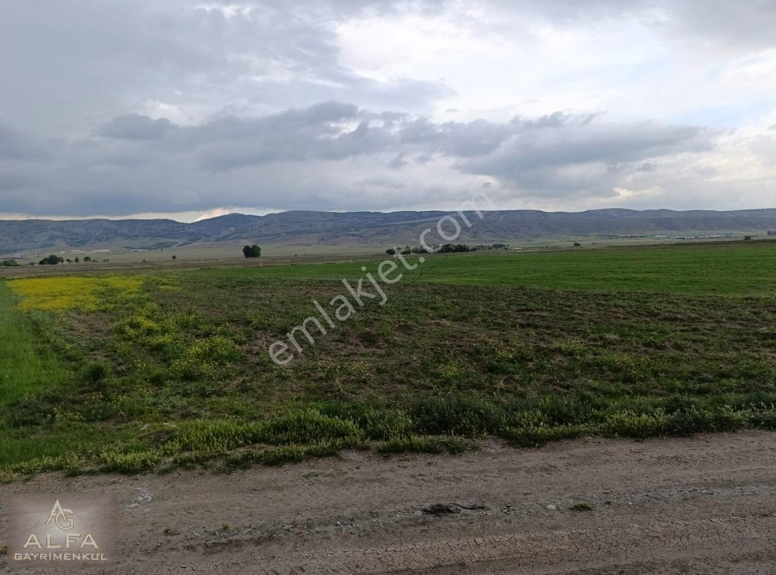 Muttalıp Emirler Mh. 4.176 M2 Yola Sıfır Kelepir Satılık Tarla