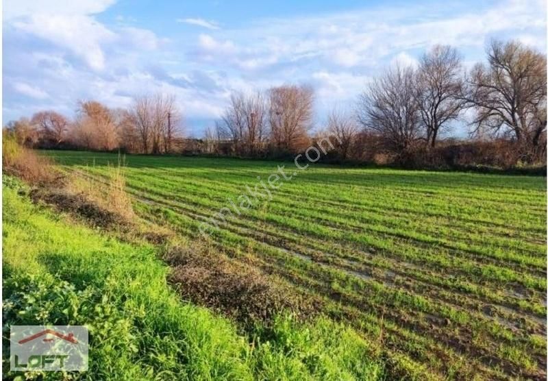 İzmir Bayındır Hasköy'de Satılık 3.035m2 Tarla