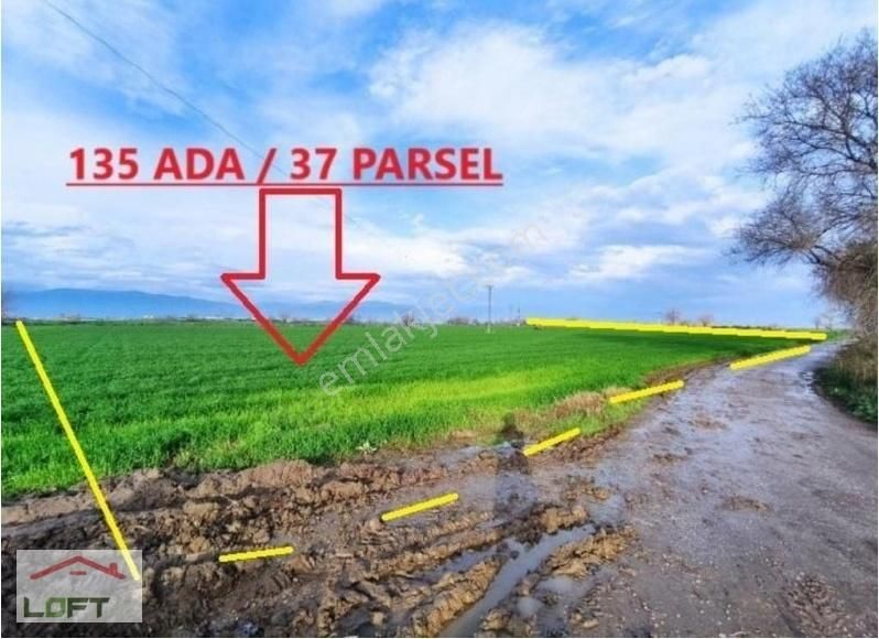 İzmir Bayındır Hasköy'de Satılık 10.769m2 Tarla
