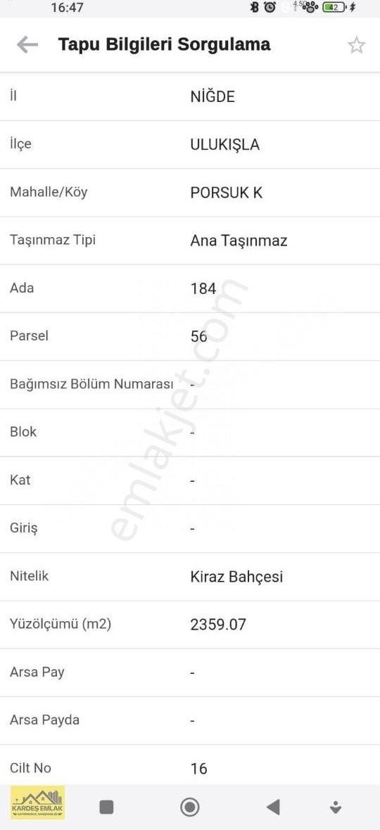 Mükemmel Kiraz Bahçesi Fırsat