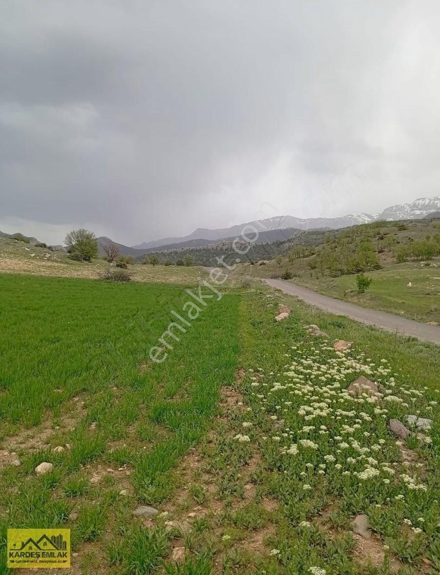 İmara Açılacak Yol Kenarında
