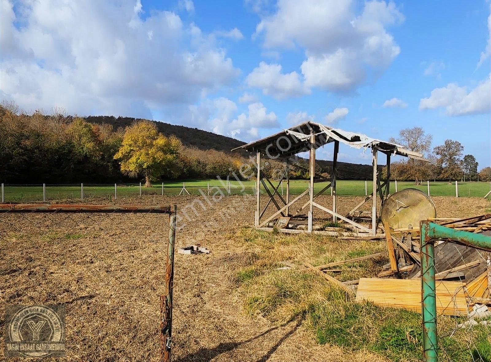 Başakköy'de Çaplı Çevrili Yatırımlık Tarla - Görsel 3