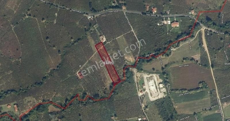 İmar Sınırında Fırsat Arsa