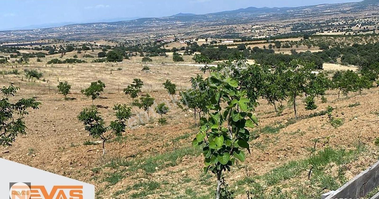 Nevas - Uşak Eşme' De Herşeyi Hazır Emsalsiz Yatırım
