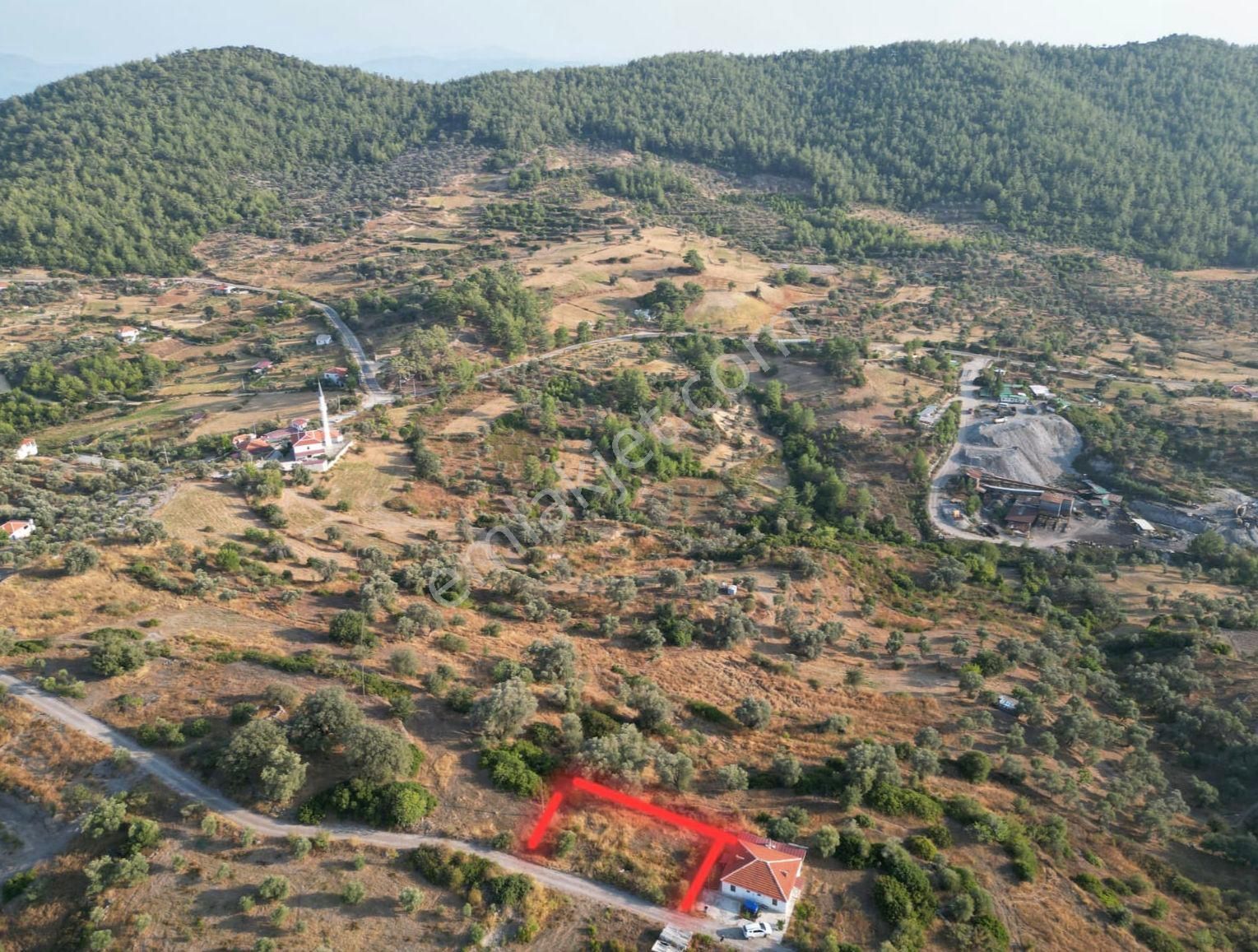 Muğla Menteşe Zeytinköy Gökcebelen'de 591 M2 Yola Cepheli Satılık Tarla