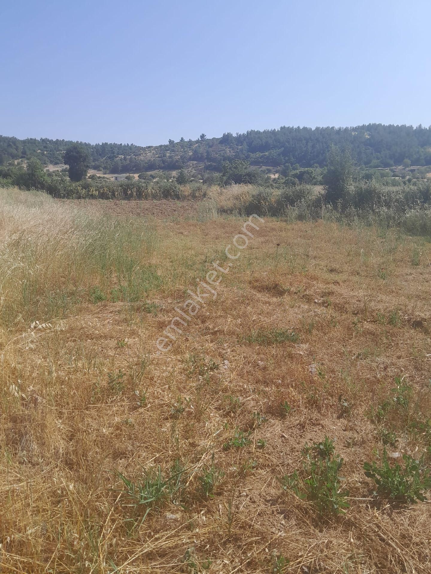 Hayal Emlaktan Satılık 728 M2 Tarla