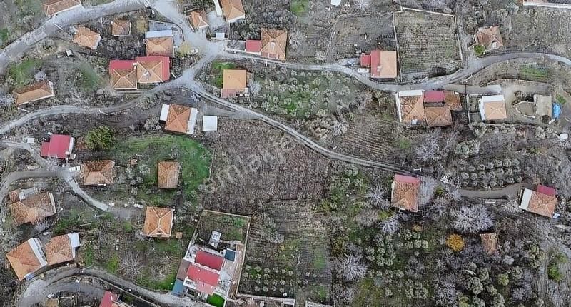 Salihli Şirinyer'de Fırsat Kiraz Bahçesi