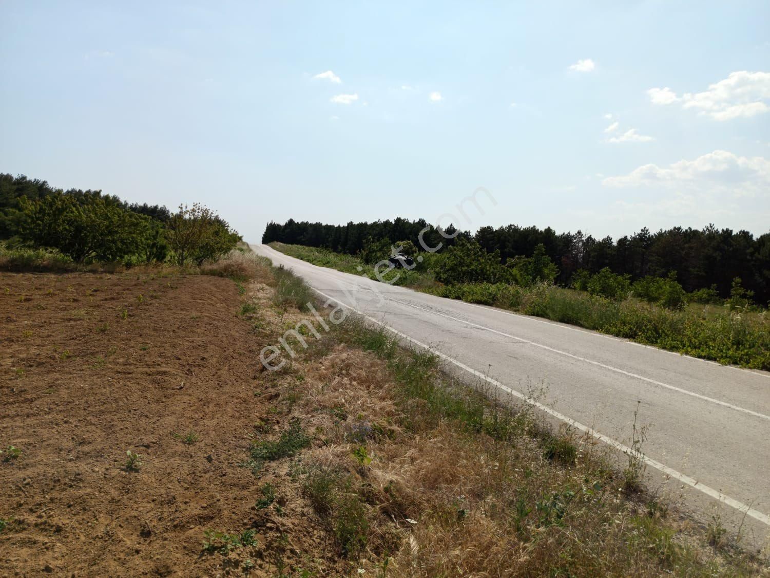 !!bilge Emlak’tan!! Şarköy Çengeli’de Ana Asfalta Cepheli 13 Dönüm Bungalov Ve İşletmelere Uygun