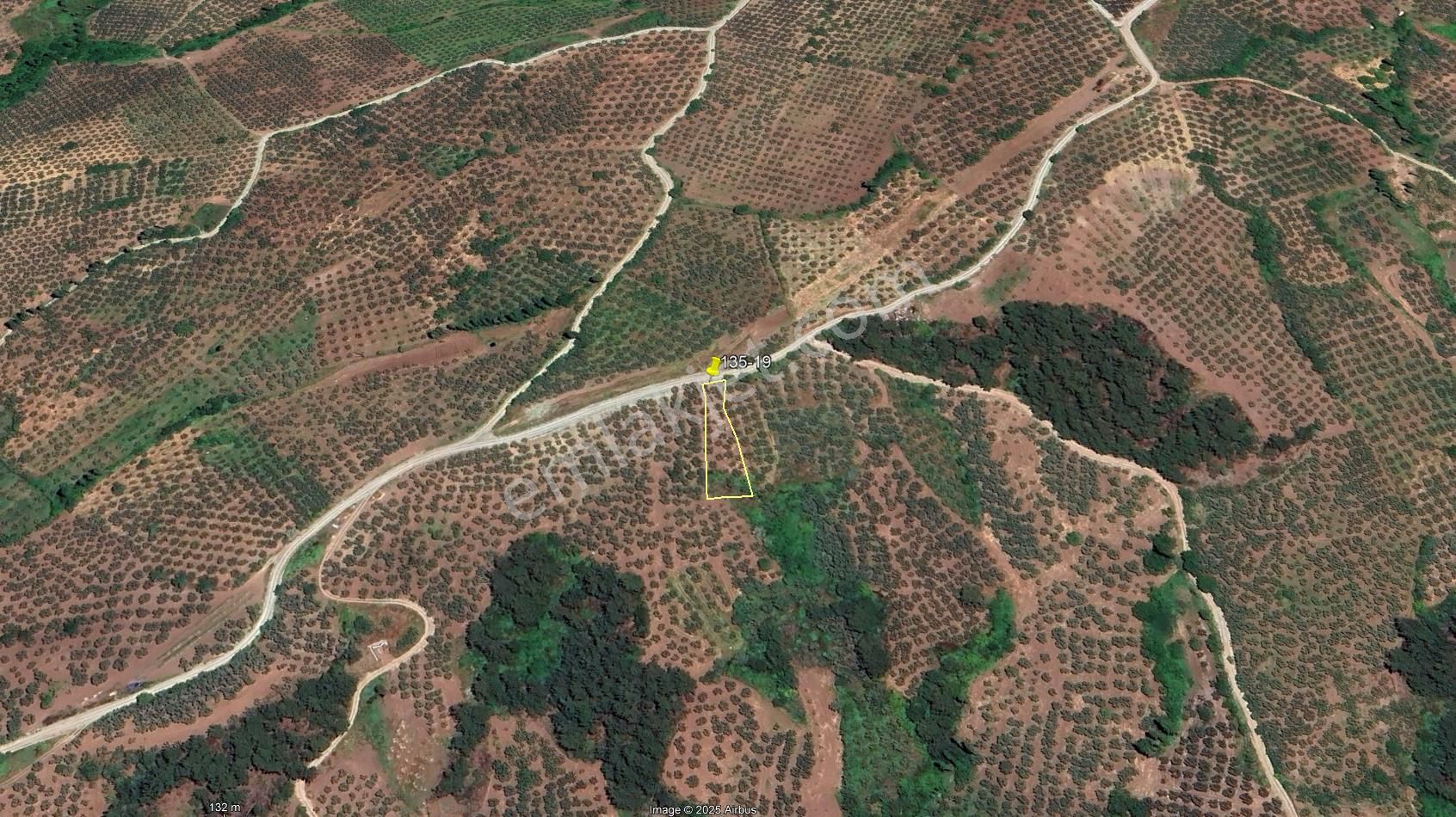 C21 Cius; Katırlı 999 M² Yola Cephe Satılık Zeytinlik
