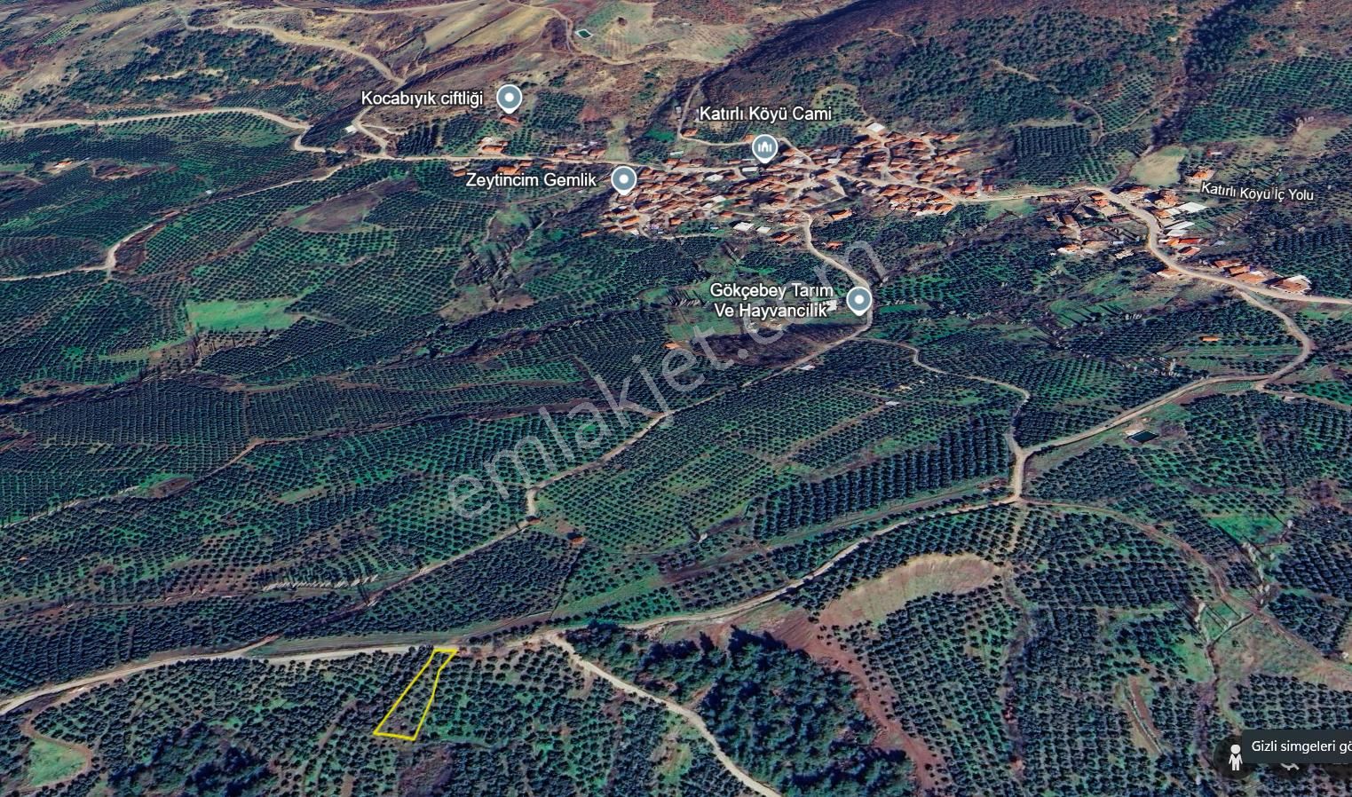C21 Cius; Katırlı 999 M² Yola Cephe Satılık Zeytinlik - Görsel 9