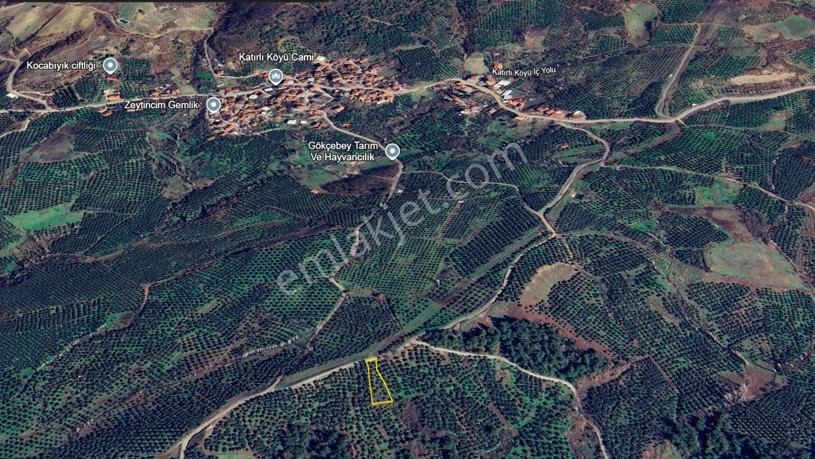C21 Cius; Katırlı 999 M² Yola Cephe Satılık Zeytinlik - Görsel 8