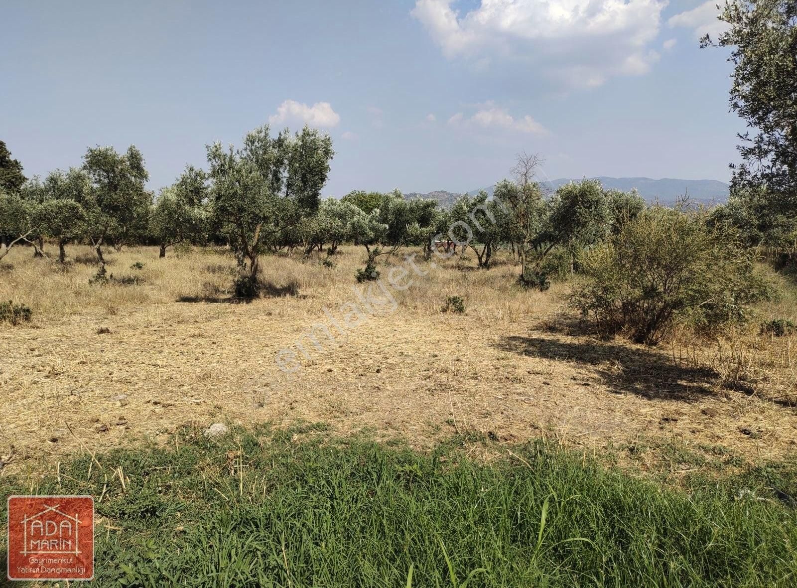 Antik Kent Manzaralı 337 M² Satılık Arsa
