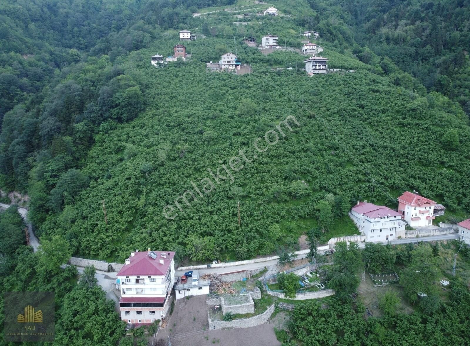Yalı Gayrimenkul'den Çaykara Uzungöl Yolu Üzerinde 2700 M2 Arsa