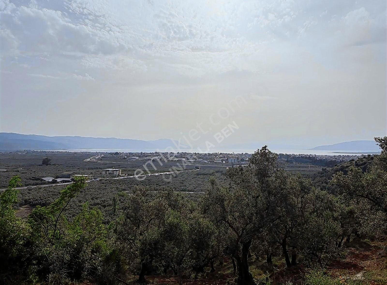 ️ İznik Bayraktar'da Manzaralı Takasa Açık 20.991 M2 Zeytinlik - Görsel 11