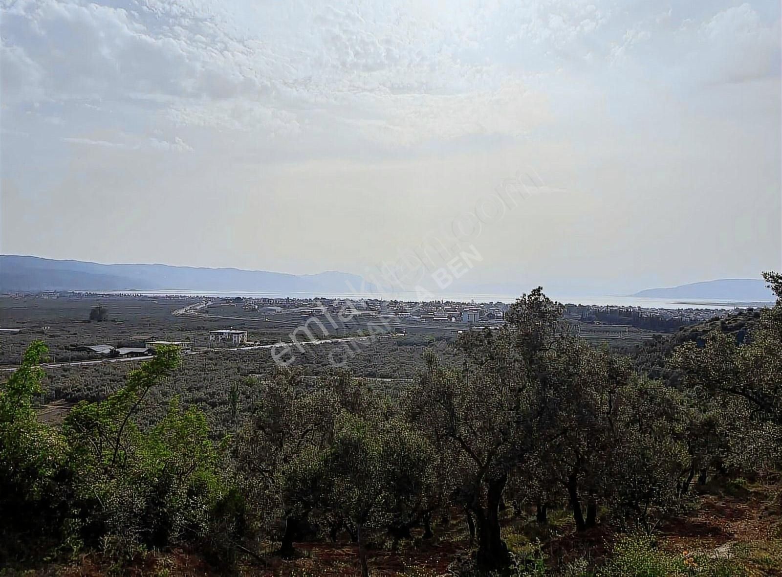️ İznik Bayraktar'da Manzaralı Takasa Açık 20.991 M2 Zeytinlik - Görsel 7