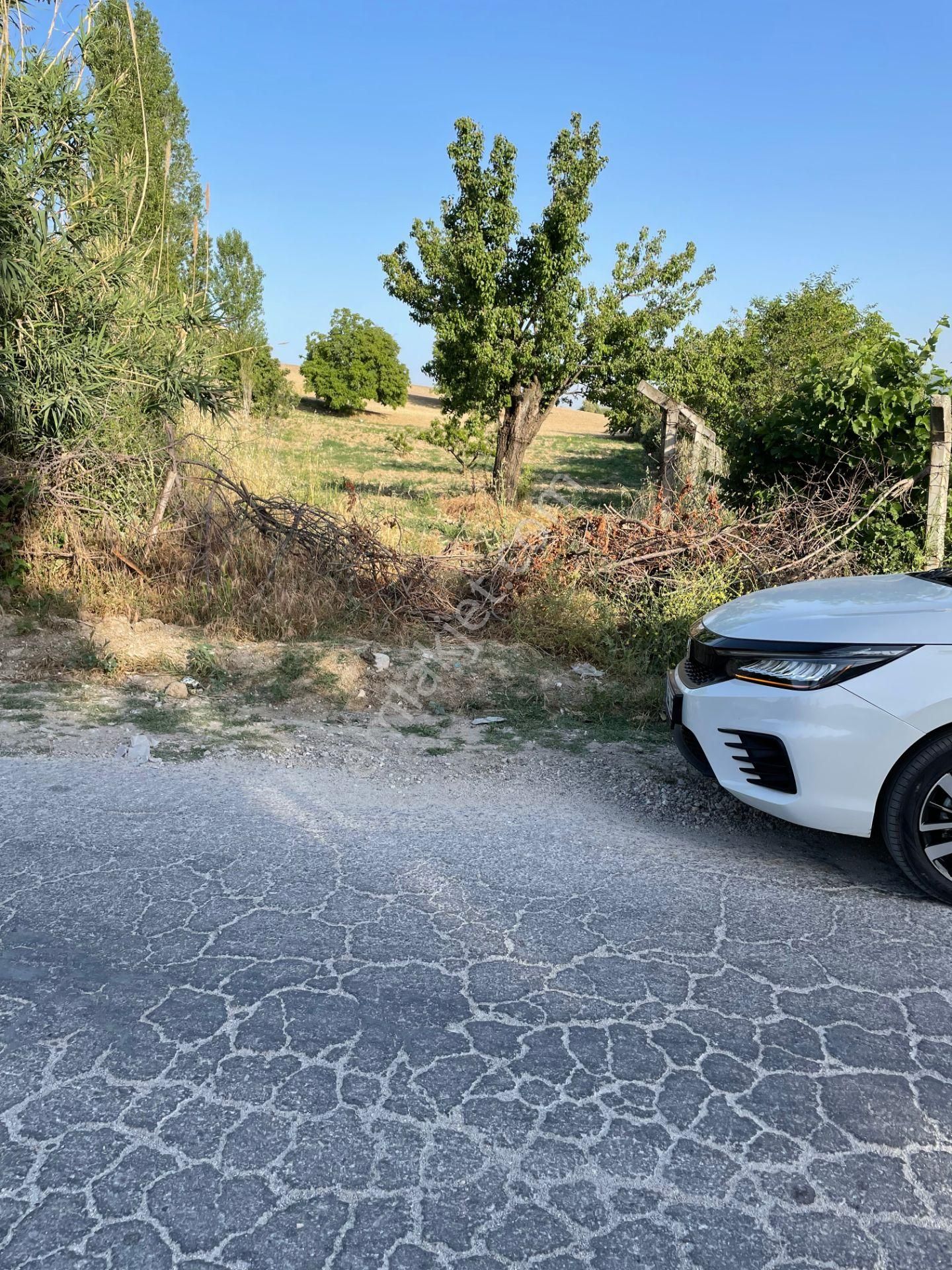 Kuşadası Yaylaköyde 36.000 M2 Arazi - Görsel 12