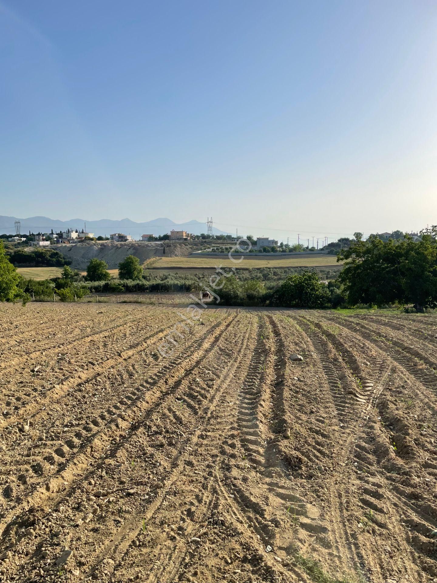 Kuşadası Yaylaköyde 36.000 M2 Arazi - Görsel 5