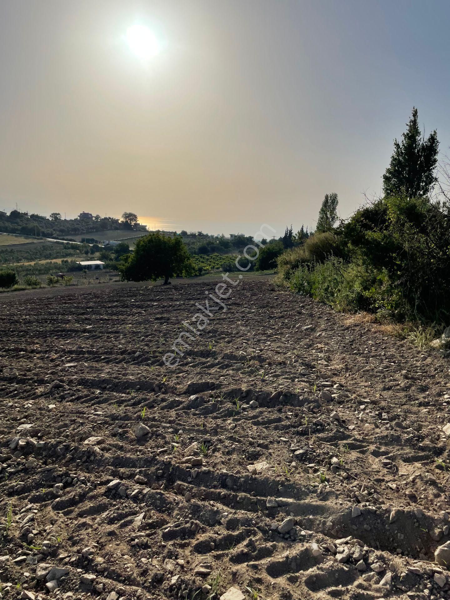 Kuşadası Yaylaköyde 36.000 M2 Arazi - Görsel 9