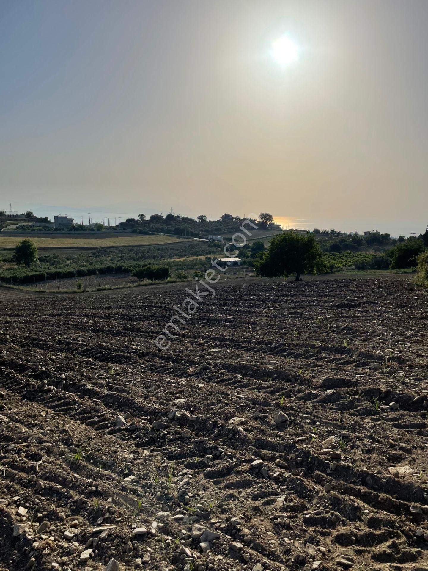 Kuşadası Yaylaköyde 36.000 M2 Arazi - Görsel 10