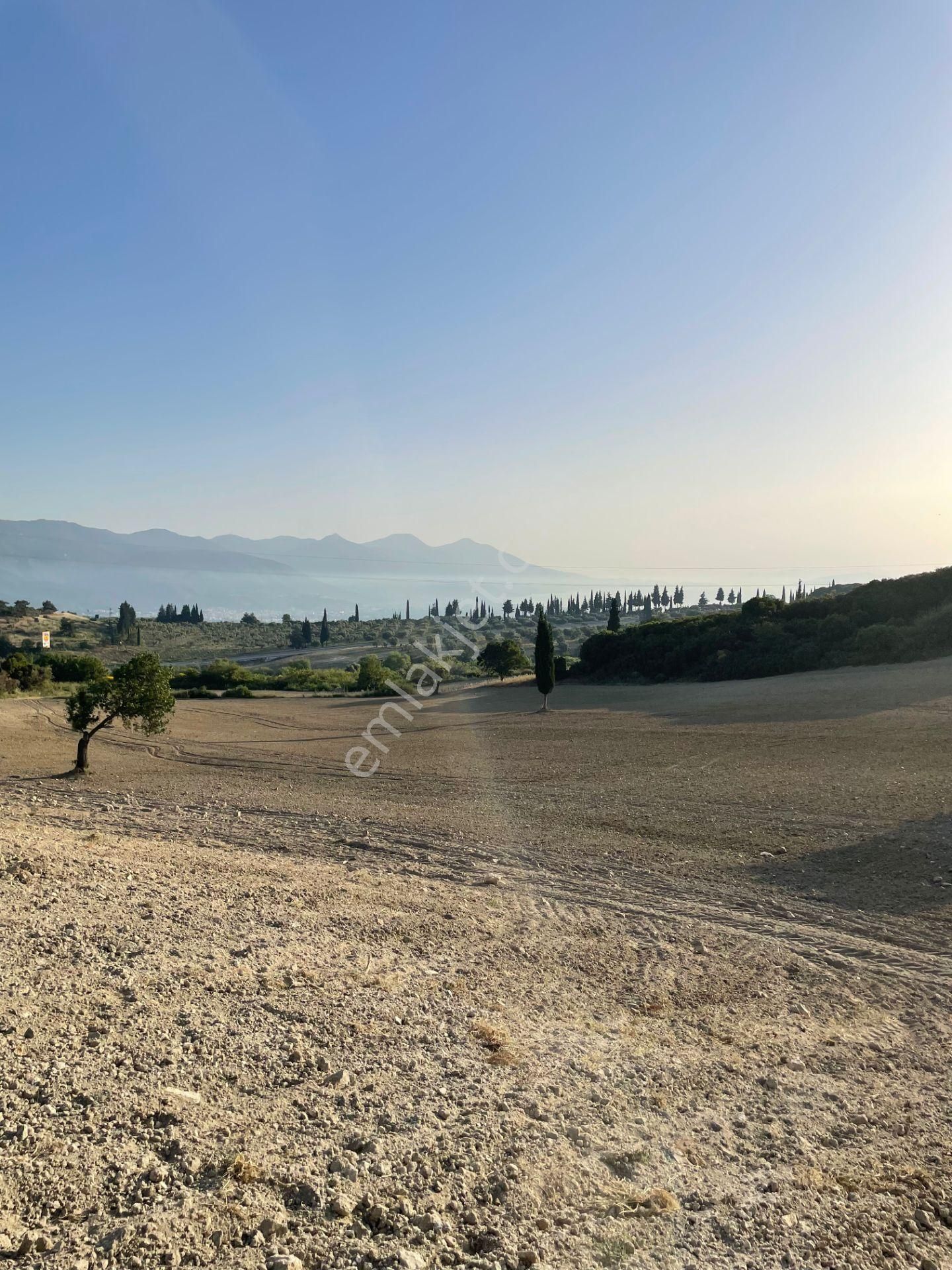 Kuşadası Yaylaköyde 54.000 M2 Arazi - Görsel 8