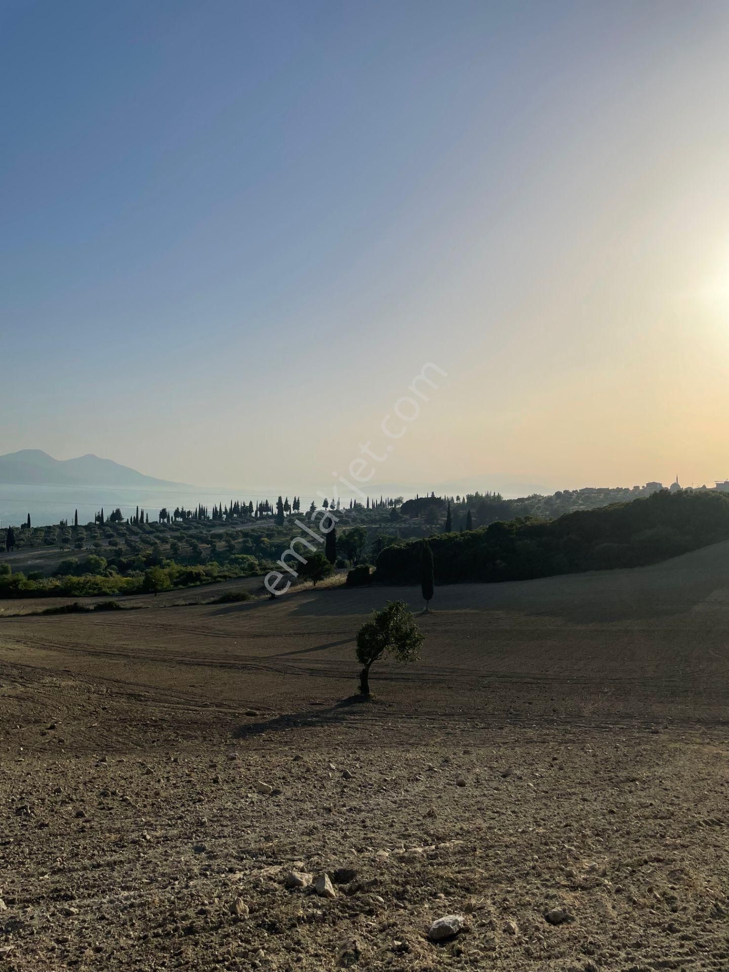 Kuşadası Yaylaköyde 54.000 M2 Arazi - Görsel 12