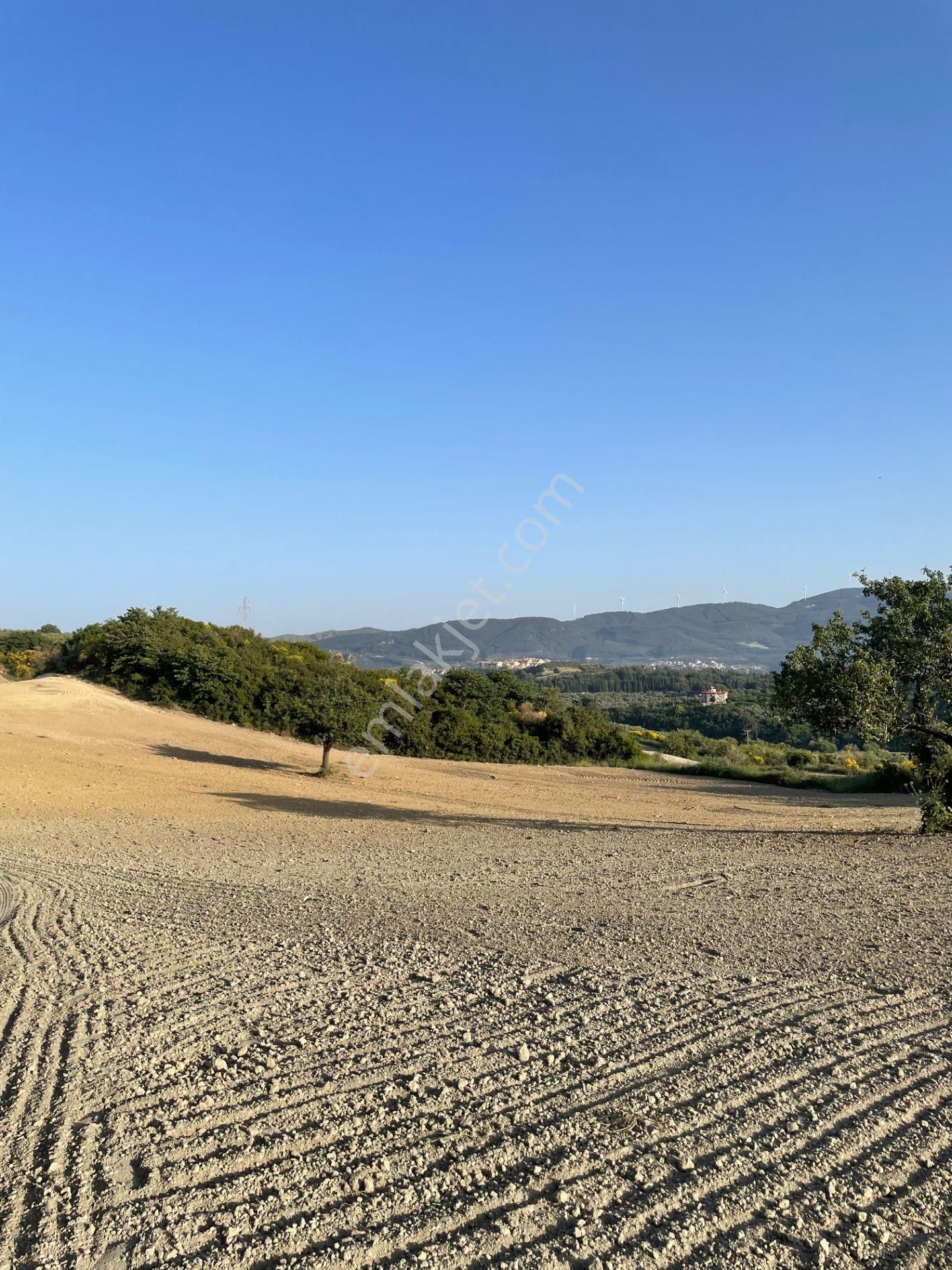 Kuşadası Yaylaköyde 54.000 M2 Arazi - Görsel 5