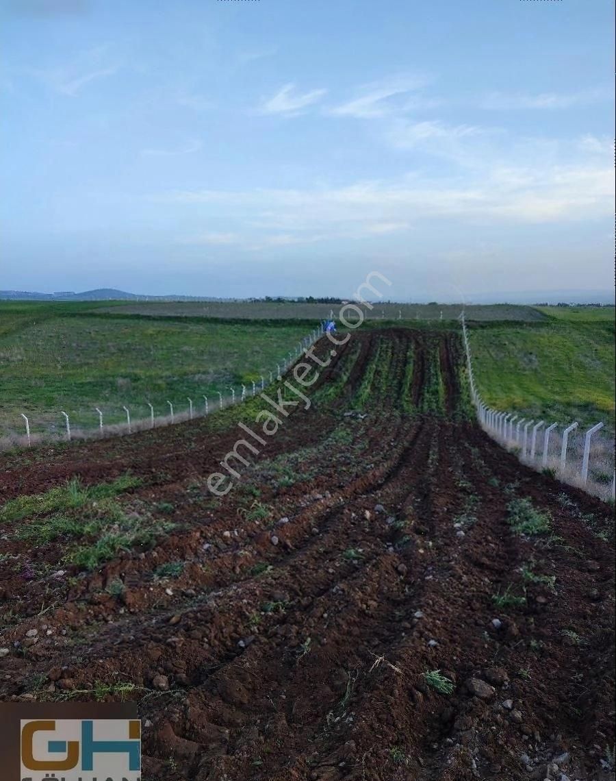 460 Dönüm Tek Tapu Kaçırılmaz Tarım Arazisi