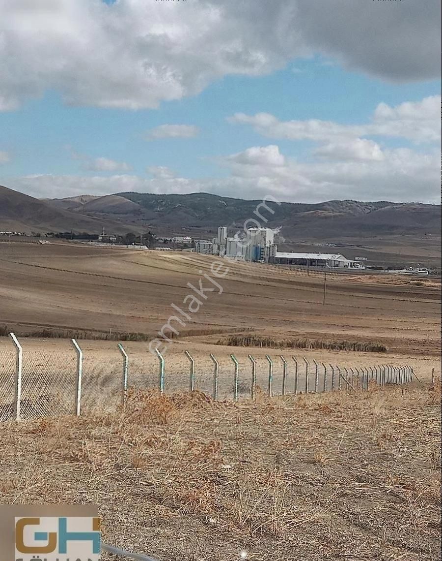 Türksat Uydusuna Yakın Yağlıpınarda Doğal Yaşam Alanları