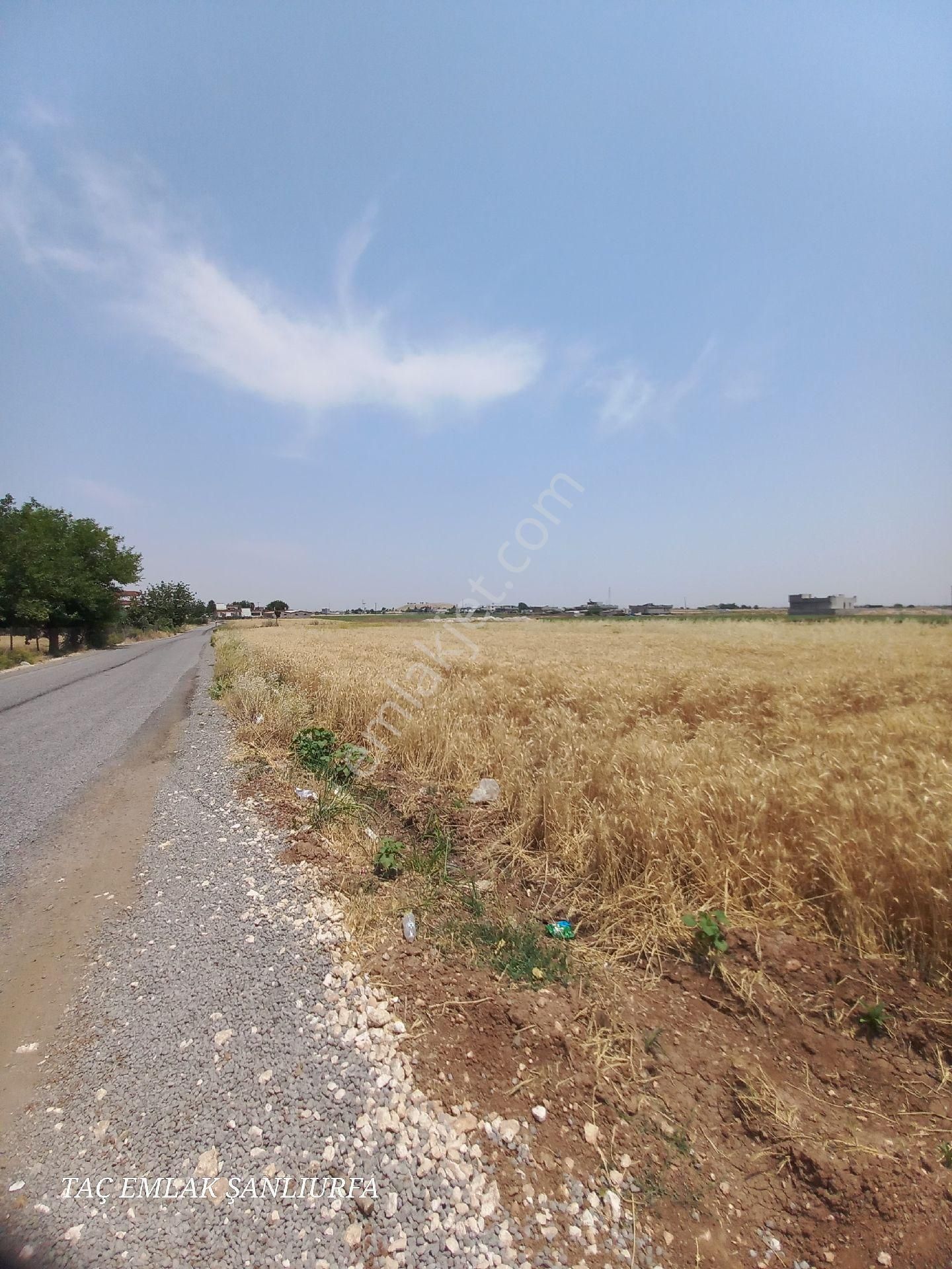 Satılık Uygun Fiyatlı Tarla Hastane Yanı