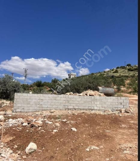Kocatepe - Nizip 'de Satılık Süper Manzaralı Temeli Atılmış Bağevi Ve Arazisi.