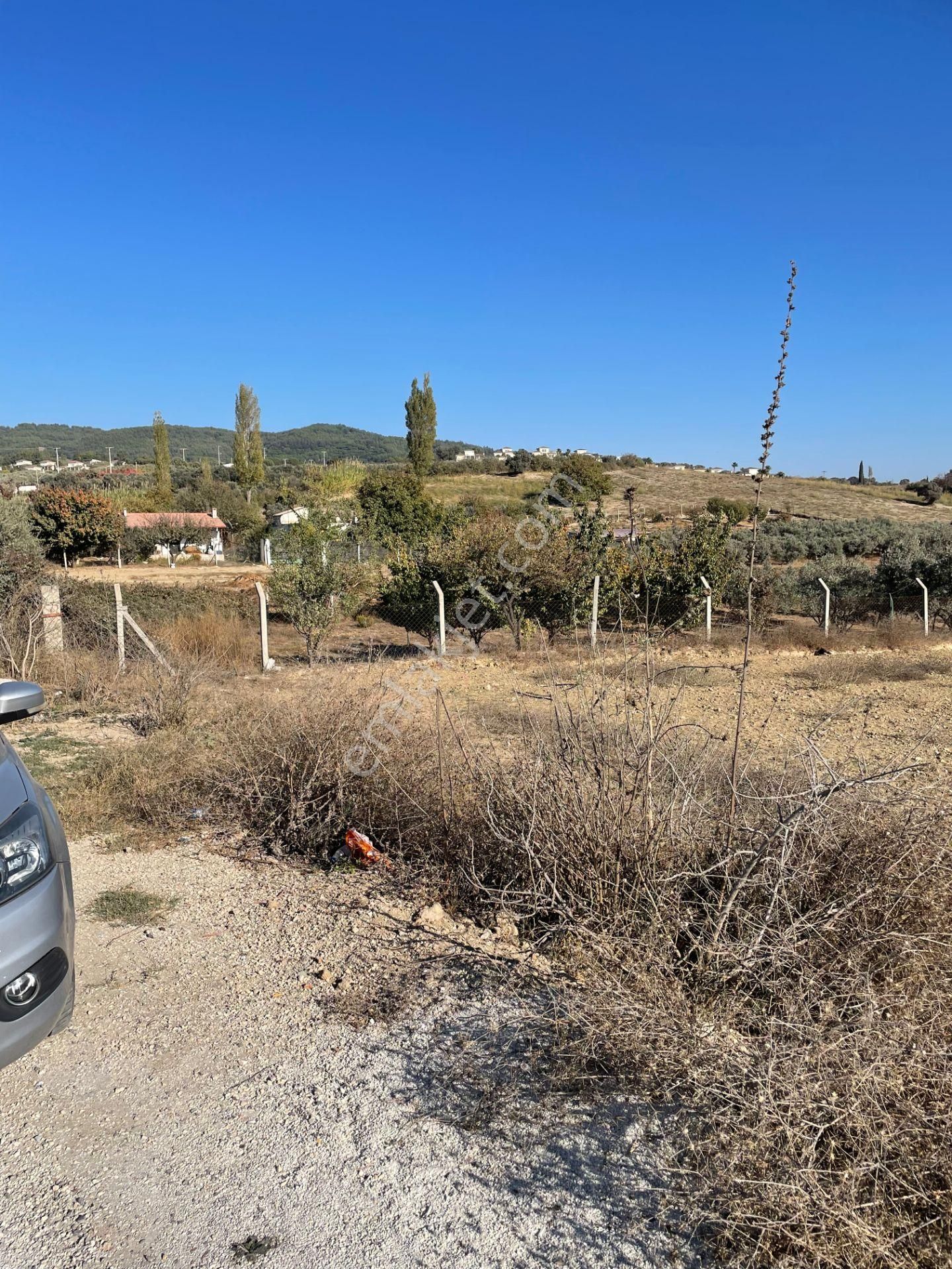 Kuşadası Yaylaköyde Yatırımlık 3.500 M² Arazi Favori Paylaş - Görsel 10