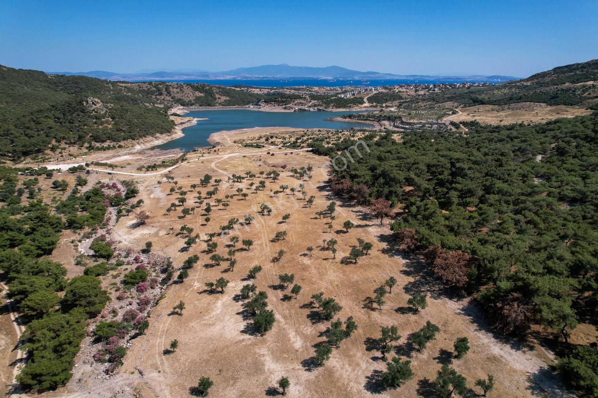 İzmir Dikili Deliktaşta 300 M² Kooperatif Hisseli Zeytinlik! - Görsel 19