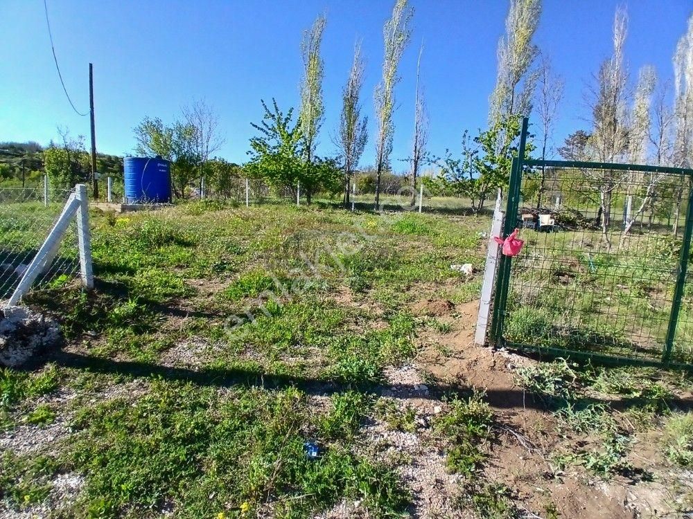 Güvenay - Çorum Barajı Kuzeyi 320 M² Satılık Bahçe