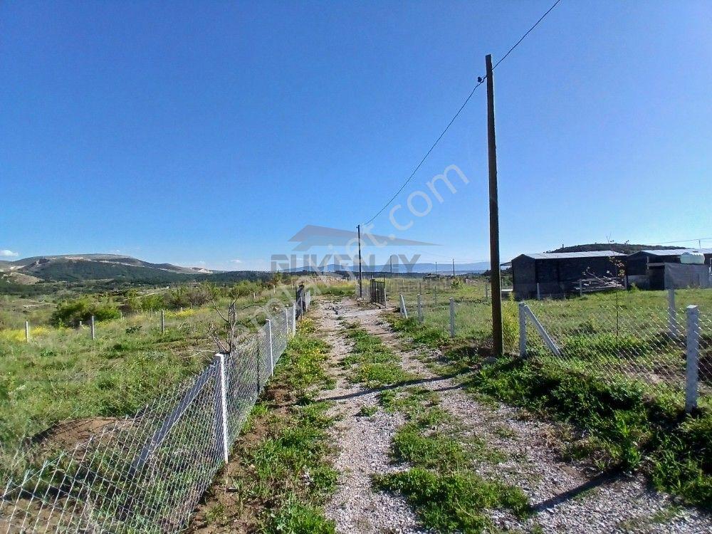 Güvenay - Çorum Barajı Kuzeyi 320 M² Satılık Bahçe - Görsel 9