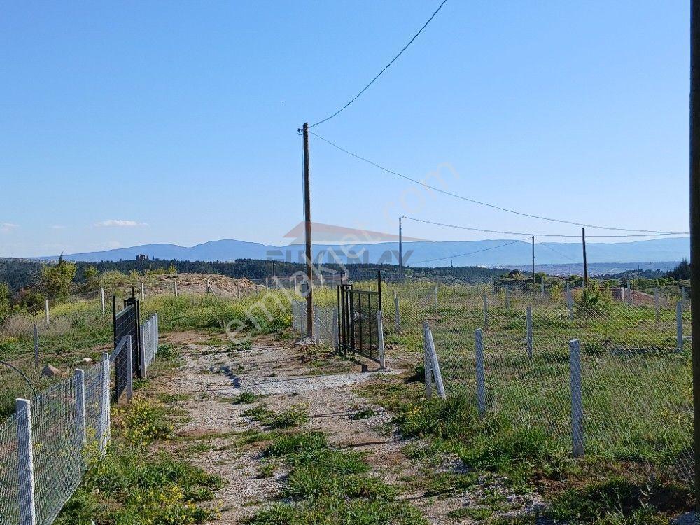 Güvenay - Çorum Barajı Kuzeyi 320 M² Satılık Bahçe - Görsel 10