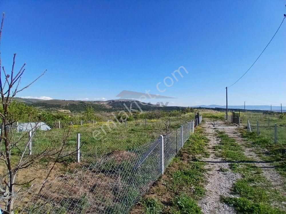 Güvenay - Çorum Barajı Kuzeyi 320 M² Satılık Bahçe - Görsel 8