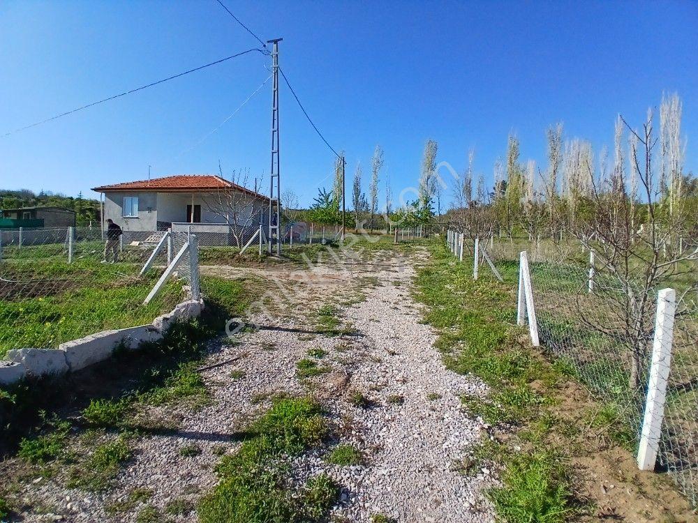 Güvenay - Çorum Barajı Kuzeyi 320 M² Satılık Bahçe - Görsel 12